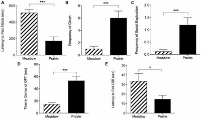 Affiliation, Aggression, and Selectivity of Peer Relationships in Meadow and Prairie Voles